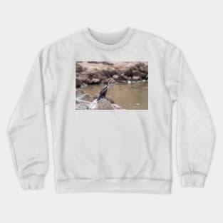 Cormorant  On The Rocks Crewneck Sweatshirt